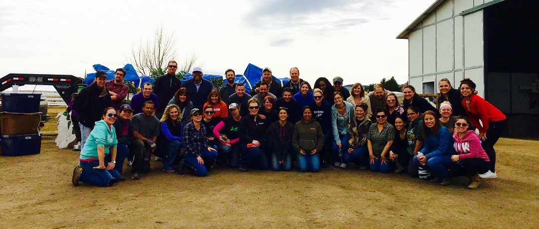 Colorado Credit Union staff member group photo of volunteer day at farm